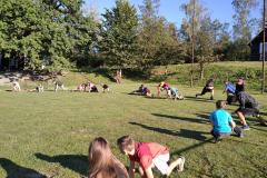 IMG_20230907_081226_1