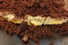 IMG_20231214_155104-1