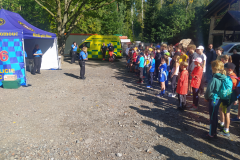 MicrosoftTeams-image-3