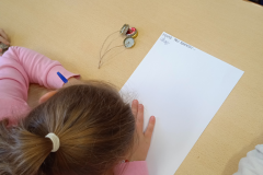 IMG_20240227_145124_1