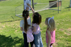 obrazek-20250428-120424-e2338896