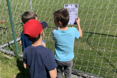 obrazek-20250428-120432-2641711a-1