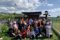 obrazek-20250430-121708-a00cf6c9