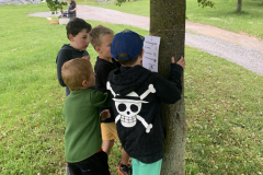 obrazek-20250530-121414-6772e120-1