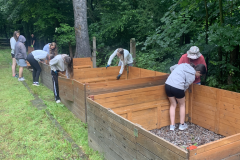 obrazek-20250616-153951-a256b844