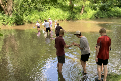 obrazek-20250617-122207-f9bb1561