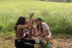 obrazek-20250617-123914-3ee68f9d