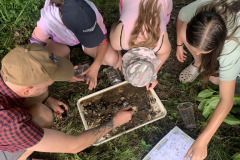 obrazek-20250617-125222-7bbdbd4c