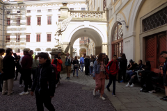 DSCN8757