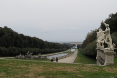 IMG_2477