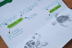 IMG_20240502_140808_1