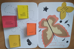 IMG_20240502_140856_1