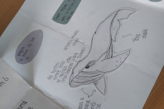 IMG_20240502_141111_1