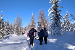 IMG_20230207_143112_1