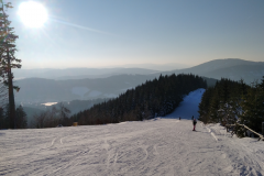 IMG_20230209_154841_1