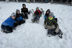 obrazek-20240116-133828-c5c26f44