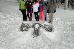 obrazek-20240116-134000-5671b913