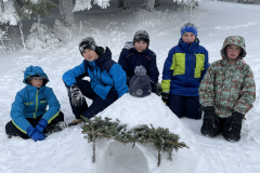 obrazek-20240116-134234-a6f92329