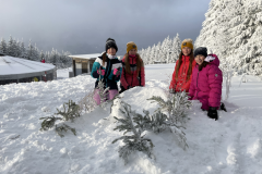 obrazek-20240116-134350-8b1bcce7