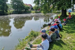 IMG_20230602_102647