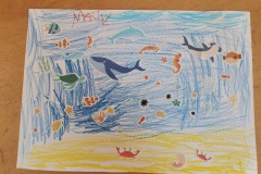 IMG_20230616_085400