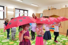 IMG_20230511_162321