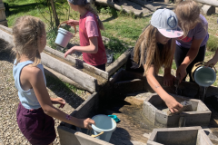 obrazek-20240611-122433-3440aad8