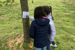 A532E29B-B0DF-410F-BB96-0BFC239E2D20