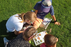 IMG_20231003_140437_1