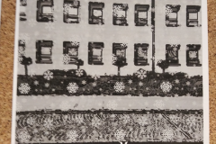 IMG_20241217_112603_1