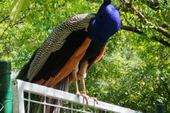 IMG_20240527_095705