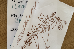 obrazek-20251115-105555-ae2e3a71