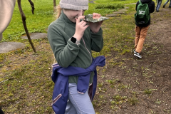 Image-4