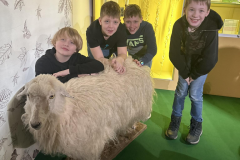 416472941_931659035344476_4152309369173000447_n