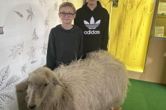 426048344_744645357375970_7553467039457149235_n