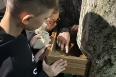 426117722_702357905220066_4484223283874795913_n