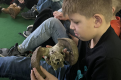 426187563_261134917019186_2261296251149504047_n