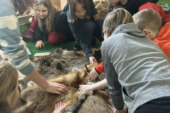 426266251_358370577045652_1074872992914063633_n