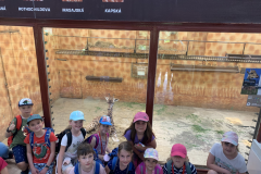 043456A0-A729-4FA9-90A7-9ADF4639F3A6