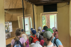 71646701-92C0-4402-8EDF-5FBE300C6BF8