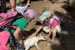 C68506E4-A1A7-4F5B-9EEC-B977FF03B91A